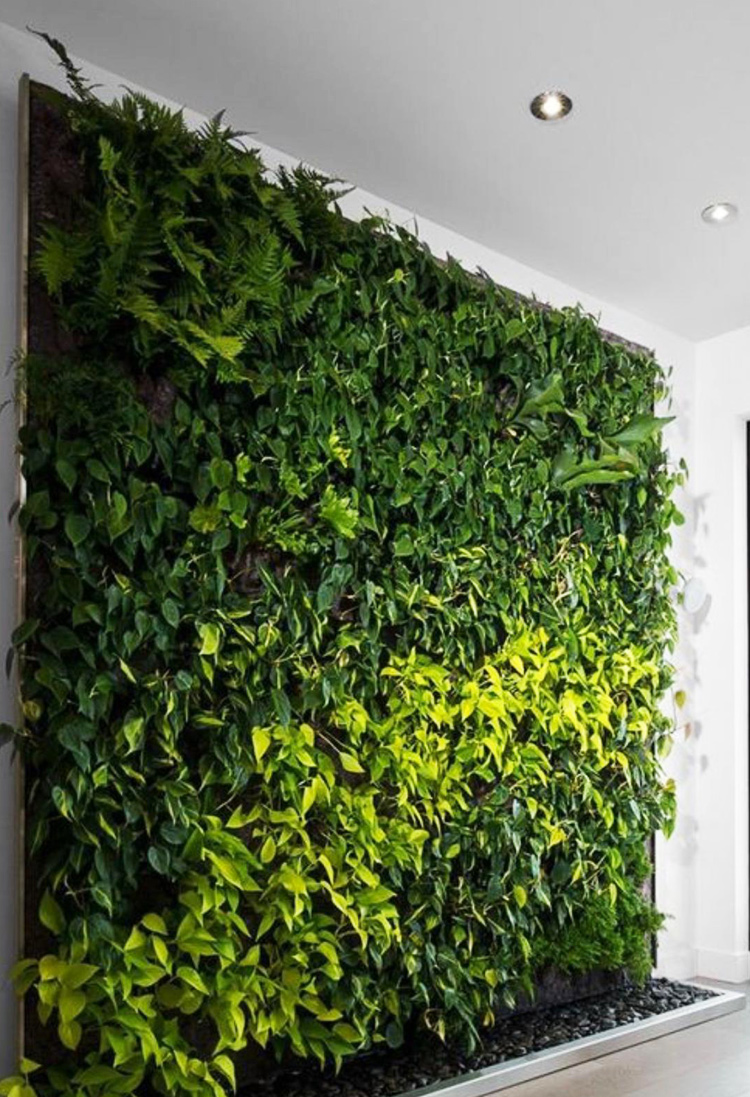 Artificial Green Walls by Outside Space Landscaping & Design